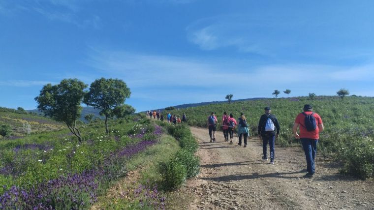 La nueva temporada de los “Paseos naturales” de la Diputación de Toledo oferta 34 rutas para conocer mejor la naturaleza y el patrimonio de la provincia