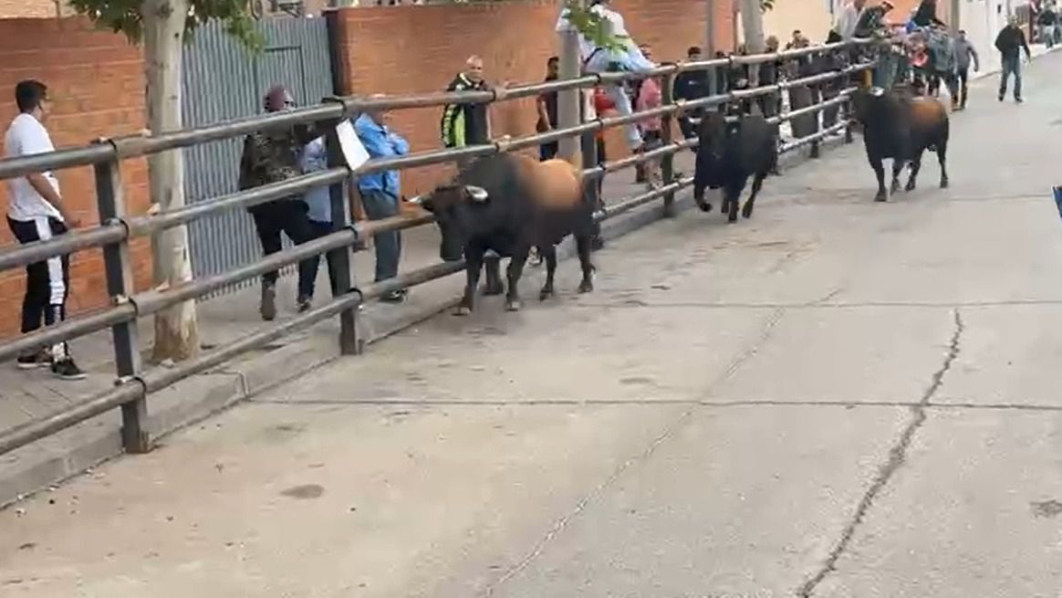 Un toro escapa de los encierros de un pueblo de Toledo dejando a su paso un fallecido y dos adultos y una niña heridos