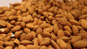 Asaja pide fomentar y promocionar la almendra nacional y controlar más las importaciones