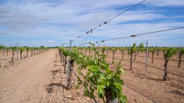 CLM realizará un nuevo pago de la PAC de 17,5 millones de euros a más de 85.000 agricultores y ganaderos