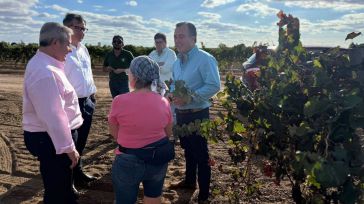 Vox CLM exige garantizar precios "justos" para "acabar" con las pérdidas de los agricultores vitivinícolas 