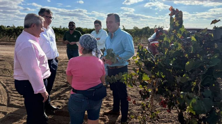 Vox CLM exige garantizar precios 'justos' para 'acabar' con las pérdidas de los agricultores vitivinícolas 