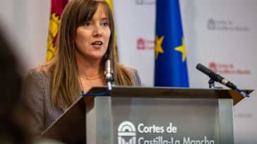 Andicoberry lamenta el discurso “hueco y repleto de anuncios y promesas” de Page demostrando que “no tiene un modelo de región”