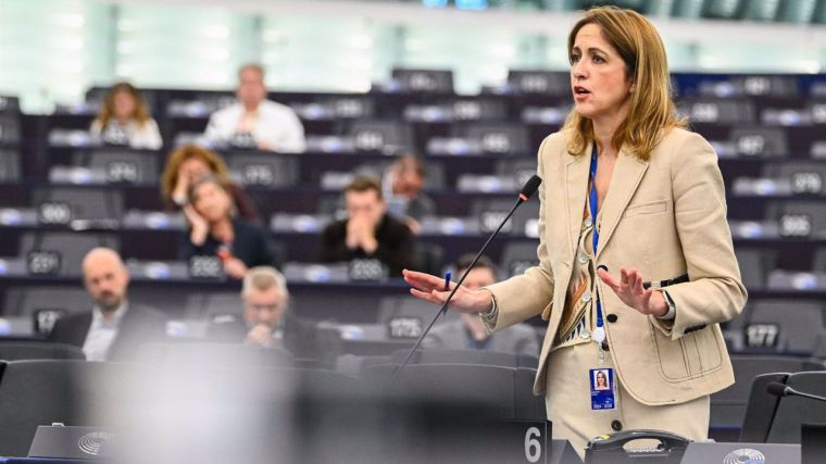 Maestre pide una vacunación 'masiva, urgente y financiada por la Unión Europea' ante la extensión de la lengua azul