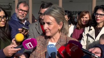 Primera hipótesis del crimen de Pantoja: La mujer golpeó a su marido con un ladrillo
