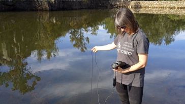 Guadalajara, escenario de un estudio científico sobre los efectos de la despoblación y repoblación en el medio rural