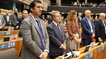 Castilla-La Mancha participa en la creación del intergrupo de Regiones Europeas Productoras de Vino para defender los intereses del sector