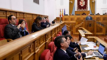 El Pleno de las Cortes aprueba la resolución de la Comisión de Igualdad sobre la Ley de violencia de género 