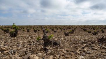 Publicadas las ayudas a la incorporación de jóvenes a la agricultura con un presupuesto total de 50 millones de euros