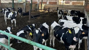 La Junta destina 300.000 euros a las ayudas para el control del rendimiento lechero en Castilla-La Mancha