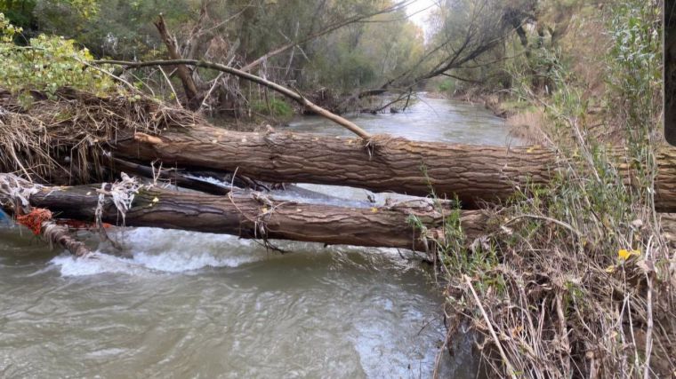 El Ayuntamiento de Guadalajara acometerá la limpieza de 1.500 metros de río Henares para evitar inundaciones e integrar el río