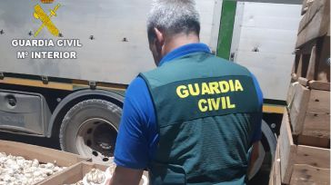 Desarticulada una "importante" estafa en la compra de ajos en la provincia de Cuenca, con dos detenidos