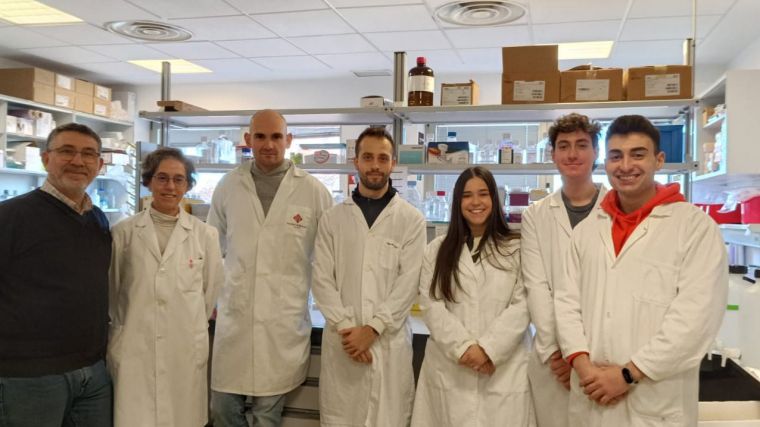 Un equipo de investigación de la UCLM y el CSIC demuestra que un nuevo antitumoral potencia el efecto de la radioterapia