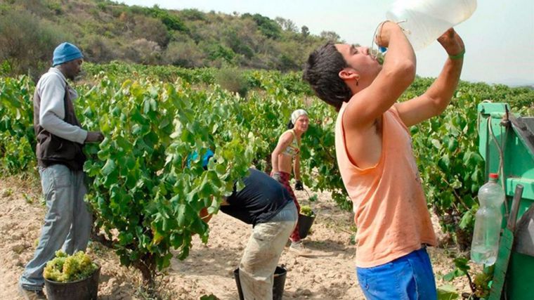 La afiliación de extranjeros a la seguridad social en CLM desciende un 2,31% en enero y baja de los 90.000 trabajadores