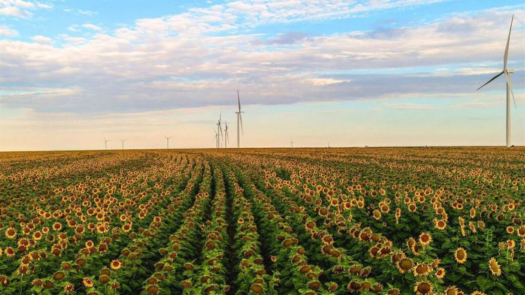 Amazon pondrá en marcha 17 nuevos proyectos de energía renovable en España 