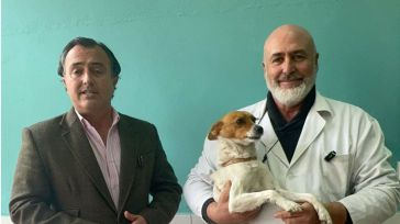 Vox C-LM exige la retirada inmediata del nuevo decreto que limita la venta de medicamentos veterinarios