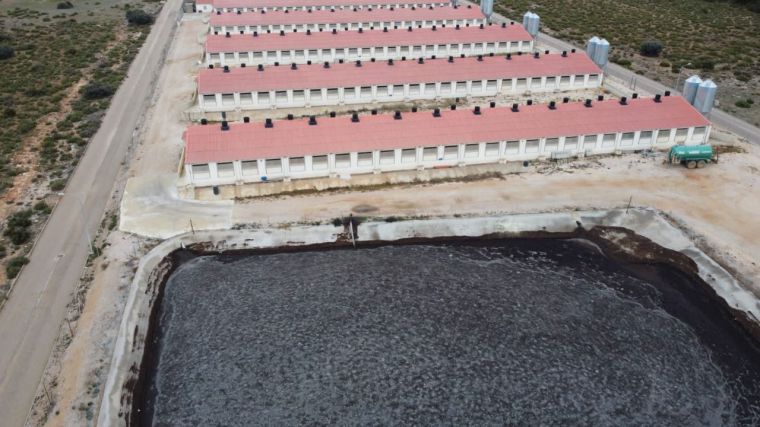 Stop Ganadería Industrial advierte de que las 61 macrogranjas pausadas por la moratoria en CLM ya pueden ser reactivadas y supondrían 362 mil cerdos más