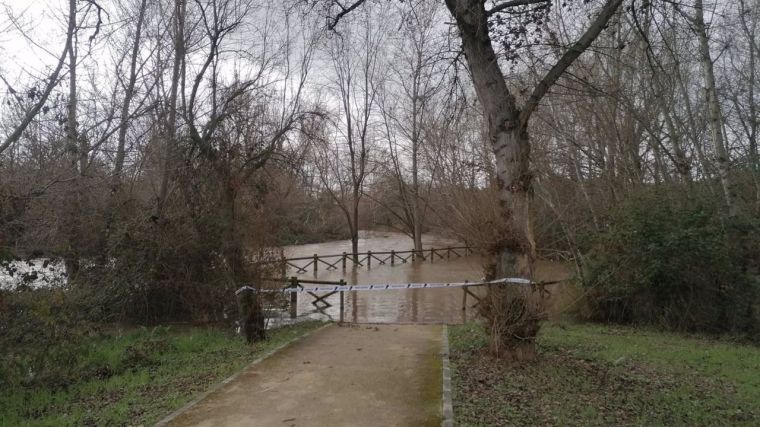 La crecida del río Henares a su paso por Guadalajara obliga a cerrar el acceso al parque fluvial
