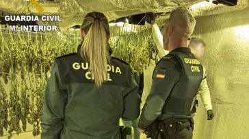 Desmantelada una plantación de marihuana indoor en una urbanización de Barajas de Melo