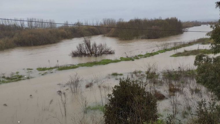 El Tajo sigue sin variaciones este viernes a su paso por Talavera y el caudal continúa estabilizado en 500 m/s