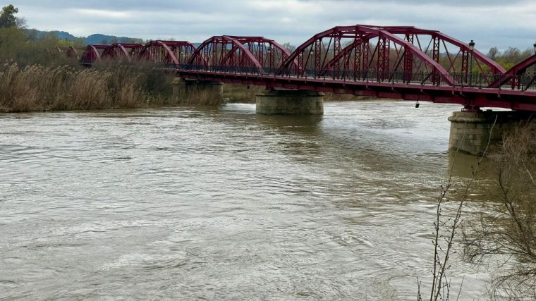 El río Tajo supera los 1.000 m3/s a su paso por Talavera en una crecida histórica que tiene en vilo a la ciudad y la comarca