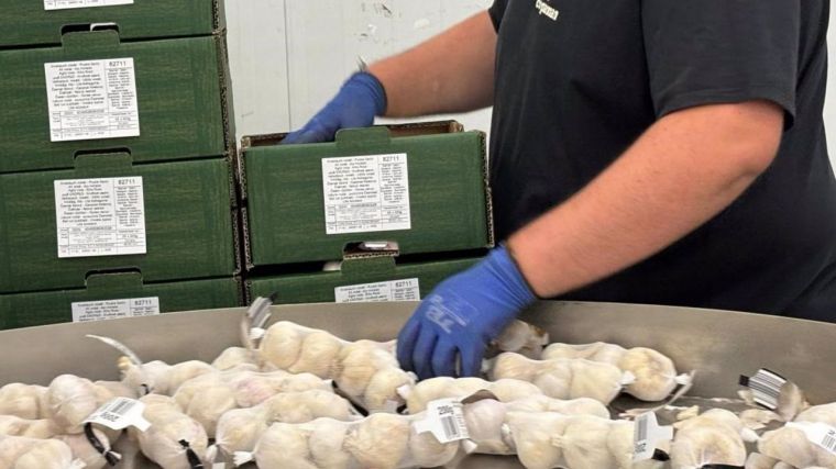 La Junta convoca ayudas por 3,8 millones de euros a las Agrupaciones de Productores de Productos Agroalimentarios