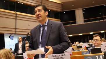 El Gobierno de Castilla-La Mancha defiende ante Europa políticas para garantizar la rentabilidad y competitividad del sector agrícola