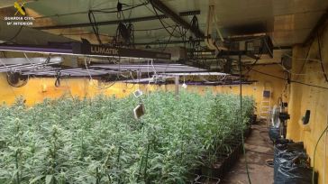 Dos detenidos tras la desarticulación de dos puntos de cultivo 'indoor' de marihuana en Ciudad Real y Madrid
