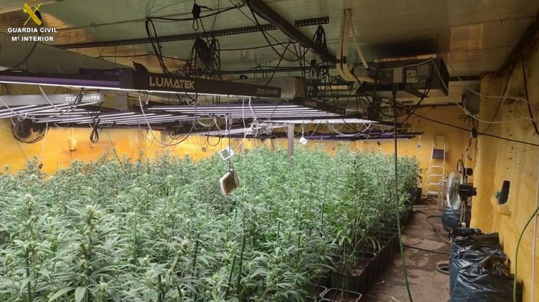 Dos detenidos tras la desarticulación de dos puntos de cultivo 'indoor' de marihuana en Ciudad Real y Madrid