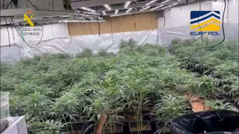 Detenidas 38 personas por el envío de droga por valor de 5,5 toneladas desde España a once países europeos