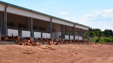 Rujamar (Cuenca) resurge de sus cenizas un año después del incendio: Reconstrucción, apuesta por la innovación y expansión