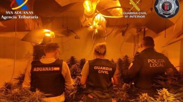 Incautadas 800 plantas de marihuana valoradas en más de 265.000 euros en una vivienda en Torrejón del Rey