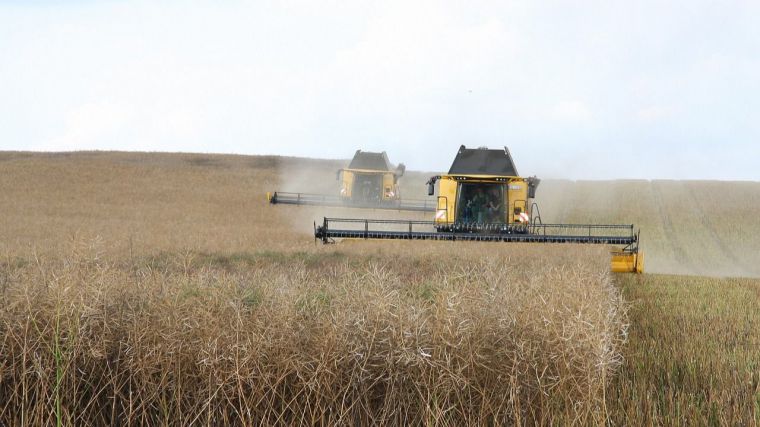 Los agricultores y ganaderos podrán presentar la solicitud única de las ayudas de la Política Agraria Común hasta el 31 de mayo