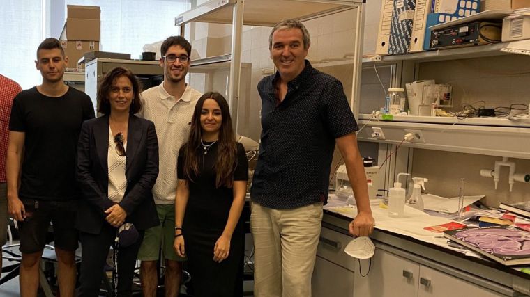 Investigadores de la UCLM identifican un nuevo mecanismo para revertir déficits de memoria en fases tempranas de la enfermedad de Alzheimer