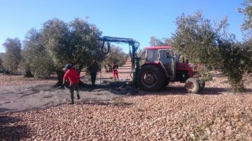 Asaja Ciudad Real suspende temporalmente la negociación del convenio colectivo del campo
