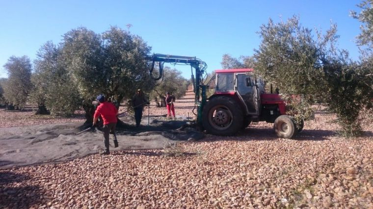 Asaja Ciudad Real suspende temporalmente la negociación del convenio colectivo del campo