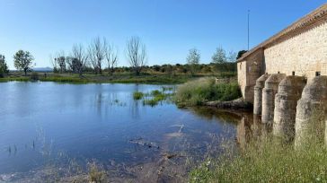 Ecologistas, SEO/BIRDLIFE y WWF reclaman una solución al deterioro del Parque Nacional de las Tablas de Daimiel
