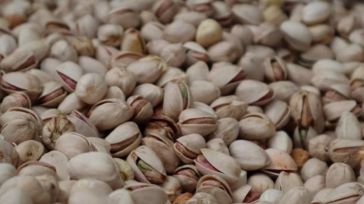 La patronal y los productores de pistacho pondrán en marcha la Lonja del Pistacho de CLM en julio