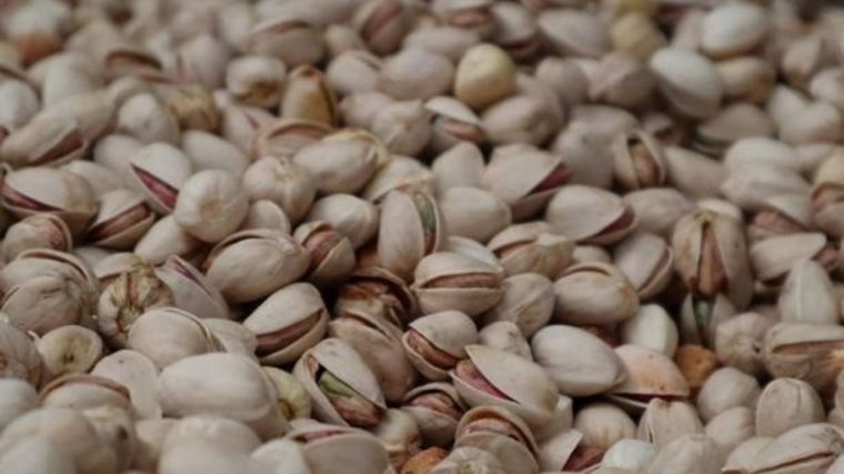 La patronal y los productores de pistacho pondrán en marcha la Lonja del Pistacho de CLM en julio