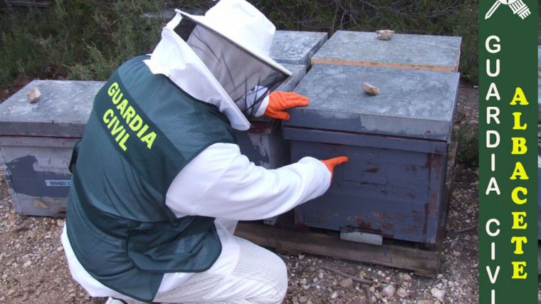 Dos detenidos por robar 53 colmenas en Almansa para supuestamente cobrar ayudas