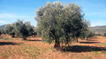 Firmado el convenio del campo de Toledo para unas 3.500 personas trabajadoras