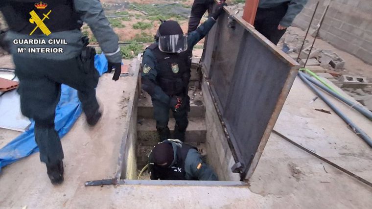 Desmantelados tres centros de producción de cannabis con 800 plantas en Albacete