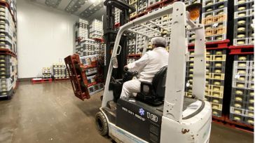 El 86% de empresas españolas ubican sus establecimientos o plantas de producción en un único emplazamiento
