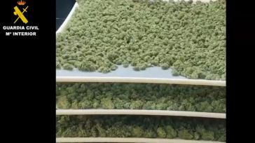 Detenidas nueve personas por tráfico de drogas y pertenencia a grupo criminal en Yuncler