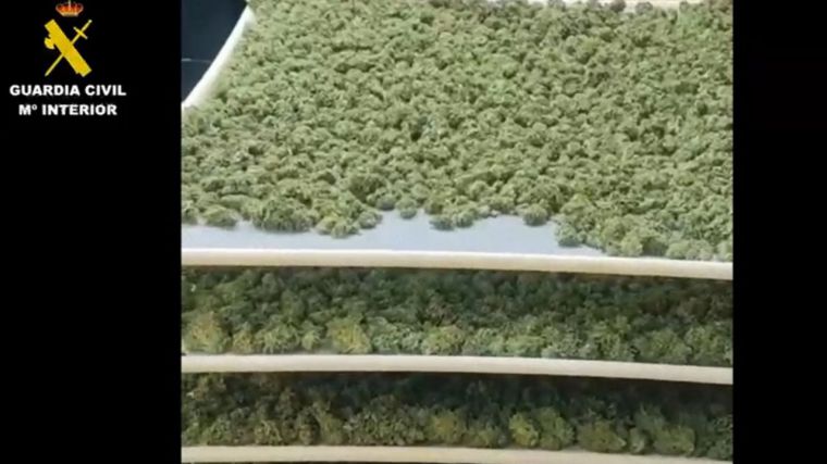 Detenidas nueve personas por tráfico de drogas y pertenencia a grupo criminal en Yuncler