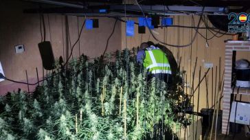 Desmantelado un cultivo de marihuana en una vivienda de Guadalajara tras producirse un incendio
