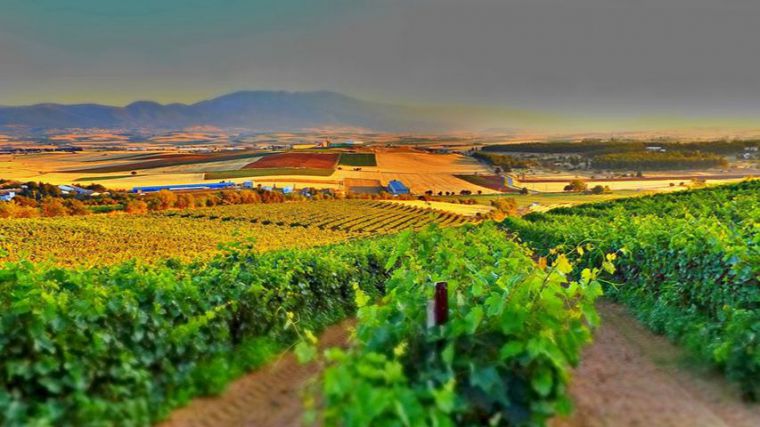 La UCLM celebra en Tomelloso un curso de verano sobre el emprendimiento de las mujeres en el mundo rural