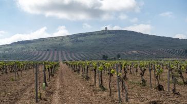 Castilla-La Mancha trabaja en crear un mercado interno que gestione su sumidero de carbono