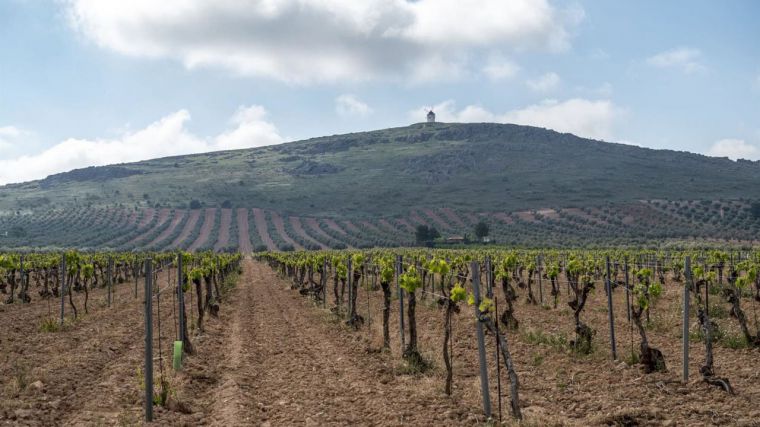 Castilla-La Mancha trabaja en crear un mercado interno que gestione su sumidero de carbono