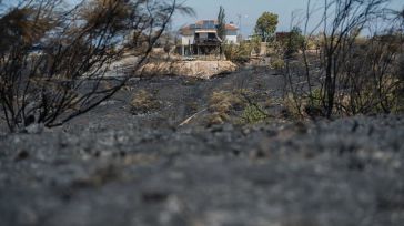 Extinguidos los incendios forestales de Méntrida, Maqueda y Los Pozuelos de Calatrava